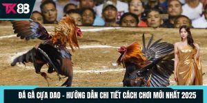 da ga cua dao huong dan chi tiet cach choi moi nhat 2025